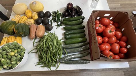 borderlands produce rescue|borderland produce offerings this week.